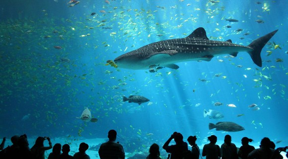 Why travel to Kish Island