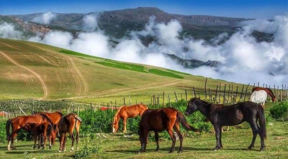 خرداد کجا بریم؟ معرفی 10 مقصد جذاب برای سفر در خردادماه