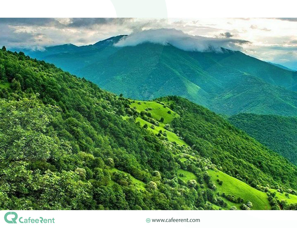 جنگل ارسباران