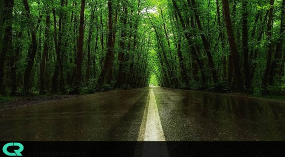 سفر به گیسوم، بهشتی که جنگل را به دریا وصل می کند