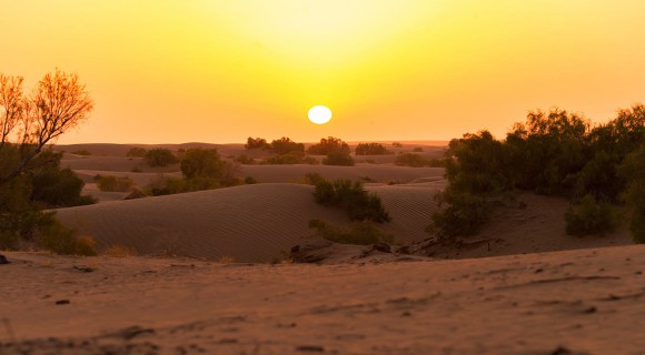 اقامتگاه در کویر مصر اقامتگاه در کویر مصر
