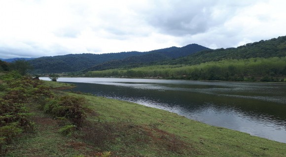 تالشِ جذاب و سخاوتمند تالشِ جذاب و سخاوتمند