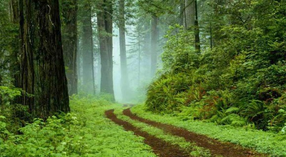 10 جاذبه گردشگری مازندران در نوروز