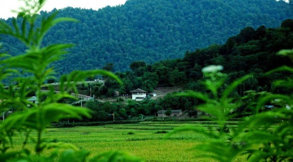 راهنمای سفر به فومن راهنمای سفر به فومن