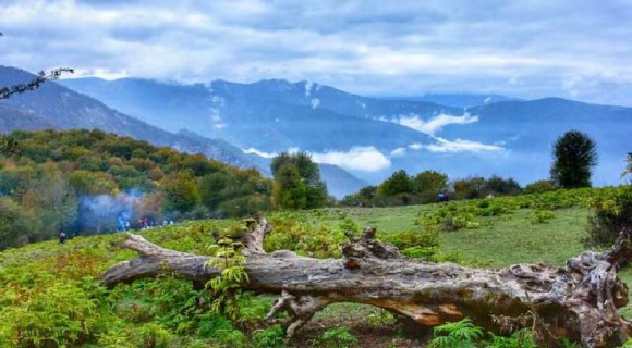 تهران گردی در بهار تهران گردی در بهار