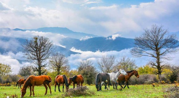 بهترین مقصدها برای سفر یک  روزه در نوروز بهترین مقصدها برای سفر یک  روزه در نوروز