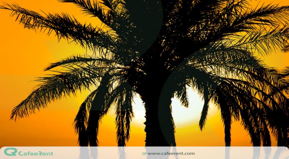 جزیره مینو کجاست؟ جزیره مینو کجاست؟